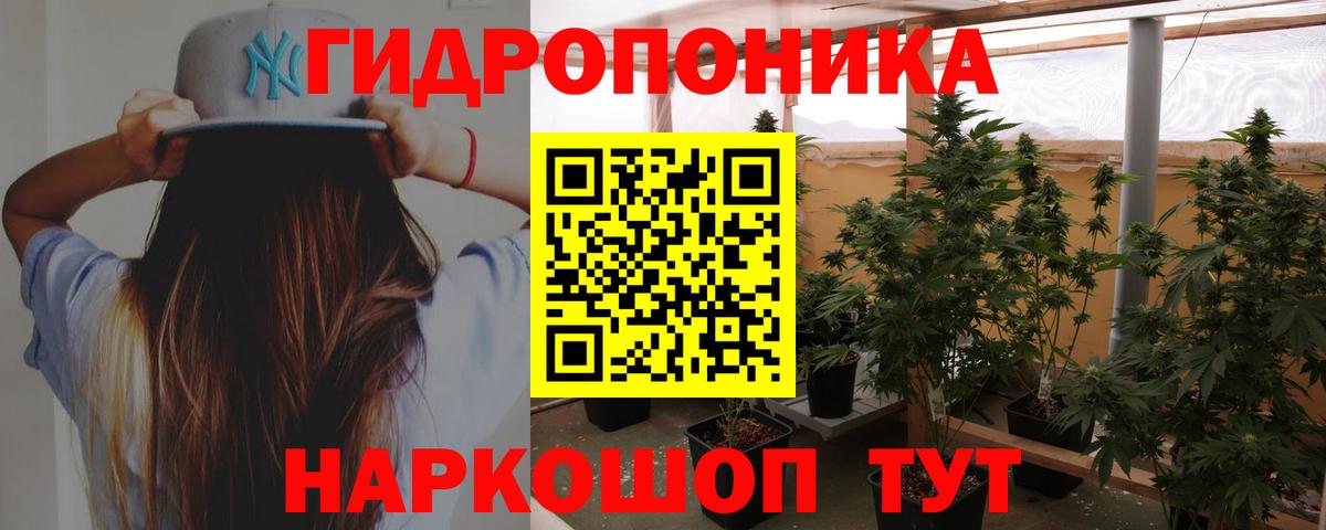 Конопля марихуана Ярославль